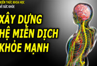 5-loai-vitamin-va-khoang-chat-giup-xay-dung-he-mien-dich-khoe-manh