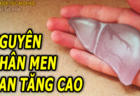 men-gan-tang-cao-do-dau