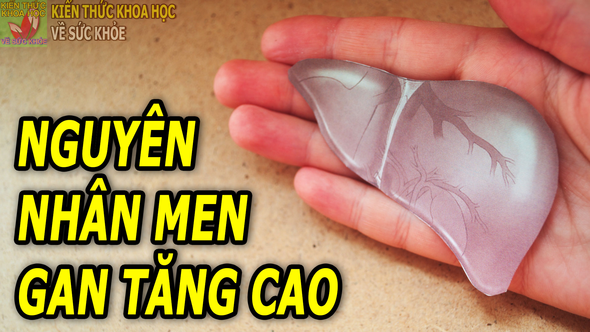 men-gan-tang-cao-do-dau