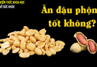 thuong-xuyen-an-dau-phong-dieu-gi-se-xay-ra-voi-co-the