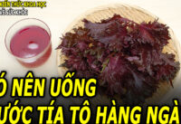 uong-nuoc-la-tia-to-hang-ngay-co-tot-khong
