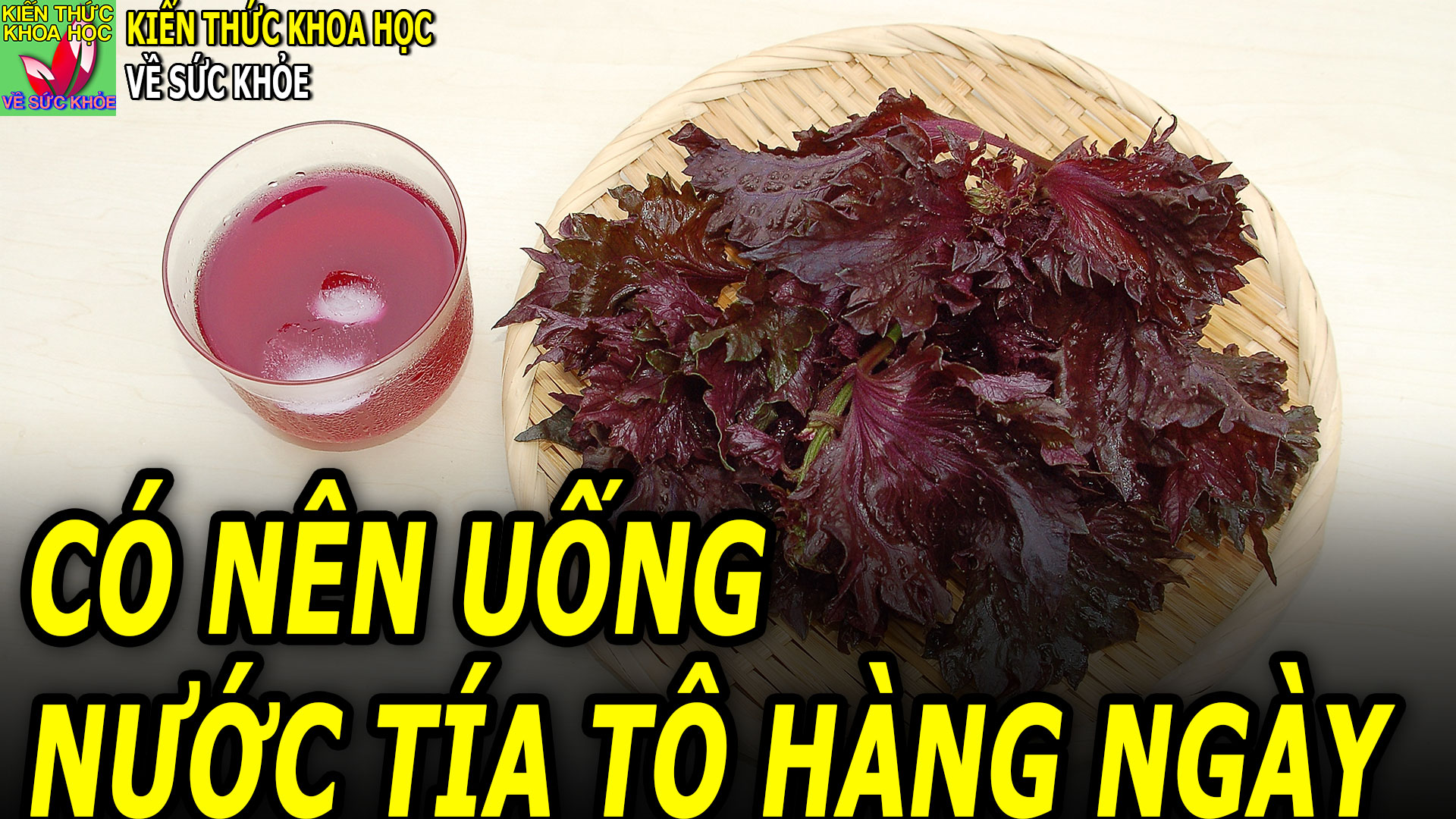 uong-nuoc-la-tia-to-hang-ngay-co-tot-khong