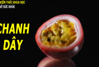 5-loi-ich-tuyet-voi-cua-chanh-day-doi-voi-suc-khoe