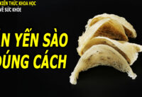 ai-khong-nen-an-yen-sao