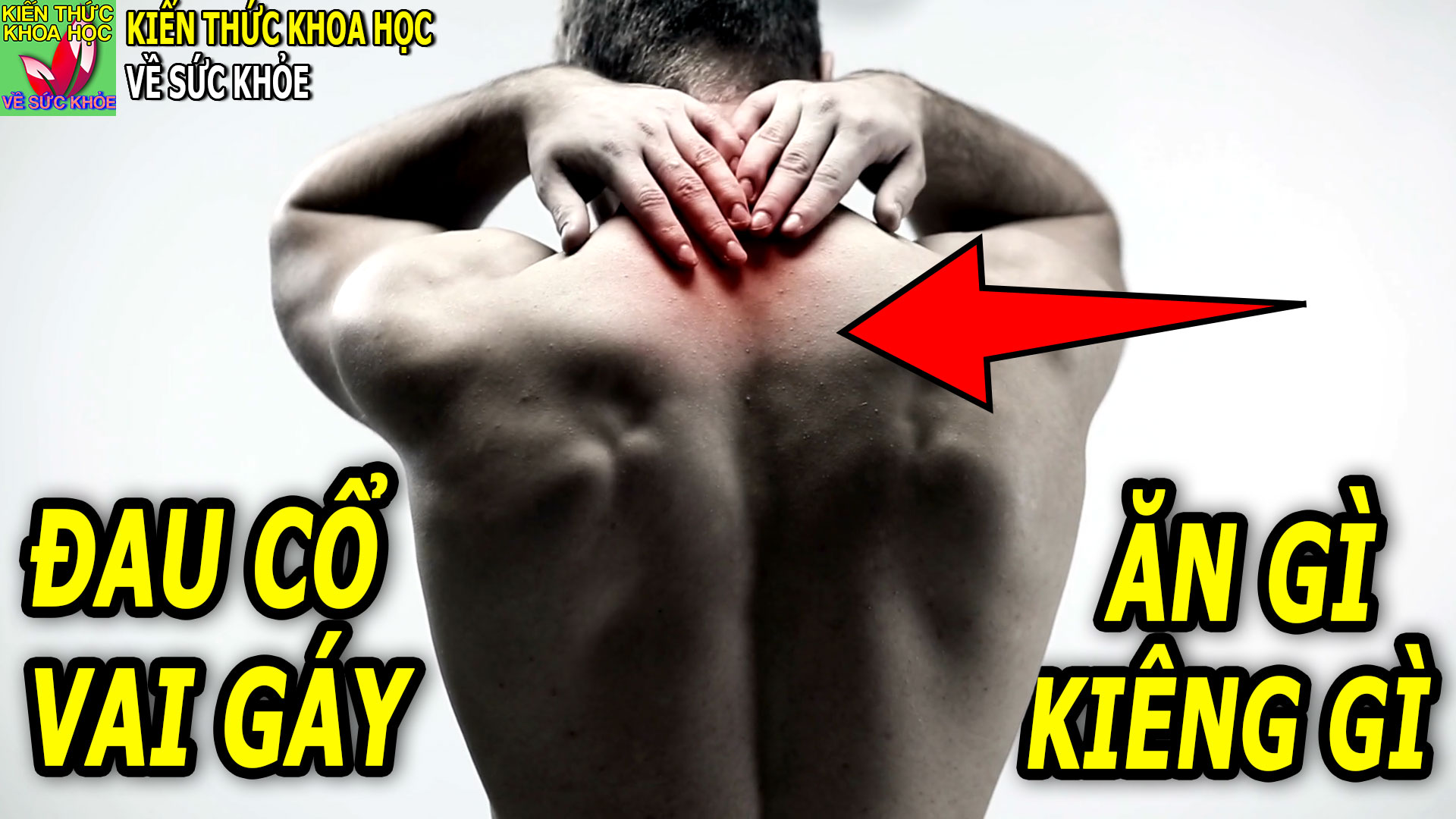 dau-co-vai-gay-nen-an-gi-kieng-gidau-co-vai-gay-nen-an-gi-kieng-gi