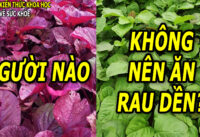 nhung-ai-khong-nen-an-rau-den