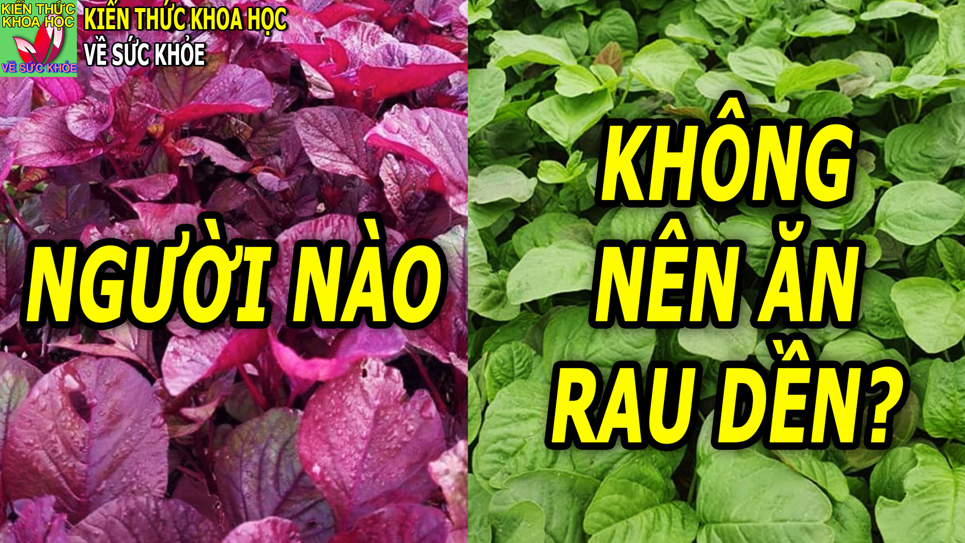 nhung-ai-khong-nen-an-rau-den