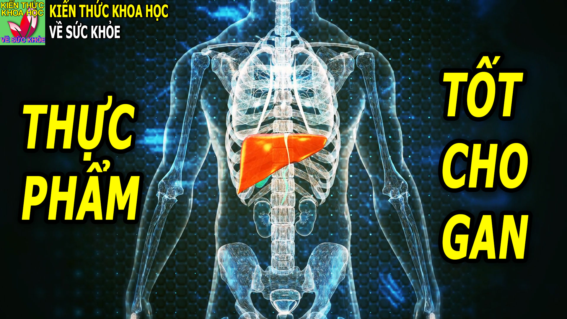 5-loai-thuc-pham-tot-cho-gan-giup-cham-soc-gan-hieu-qua