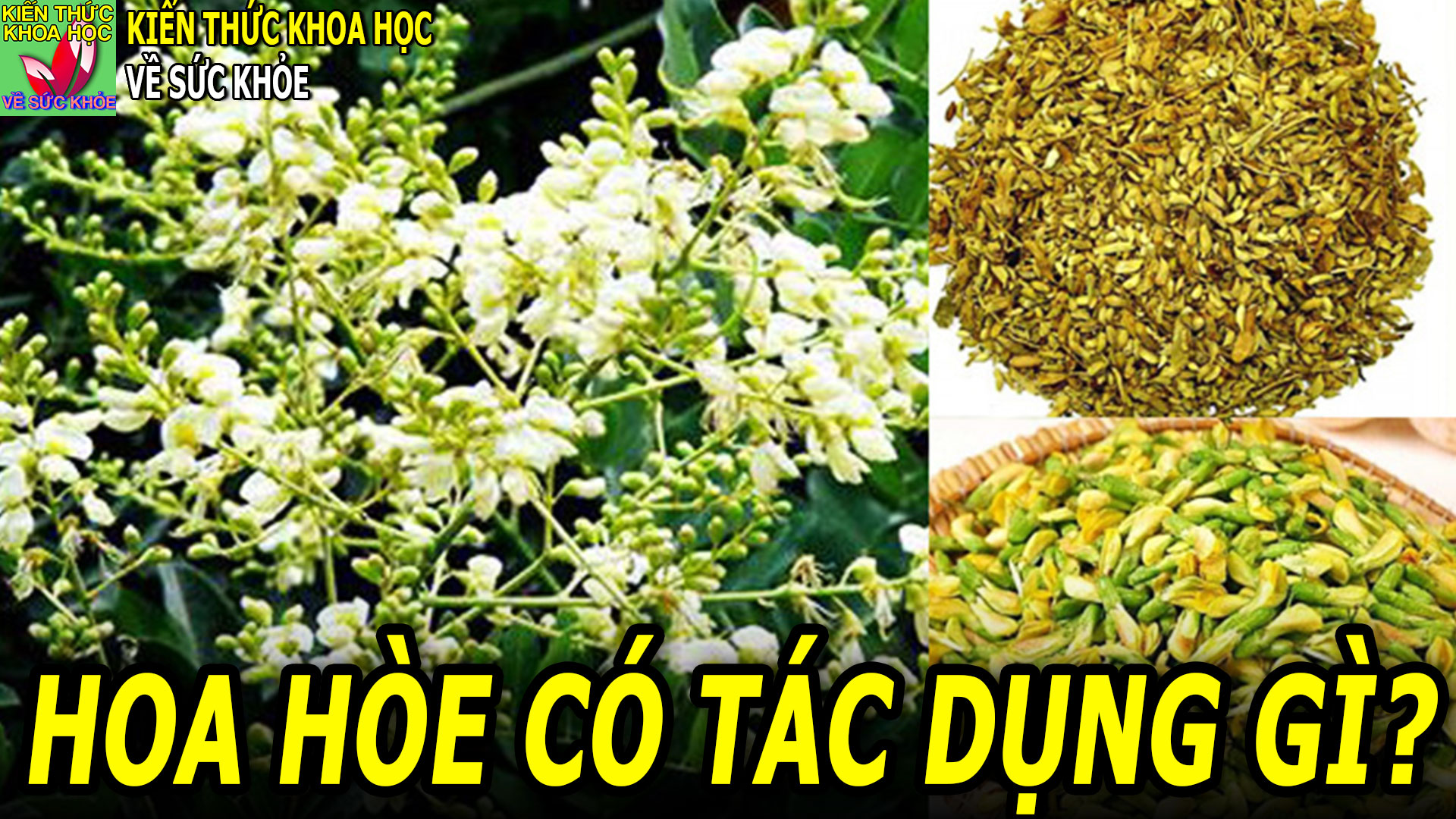 uong-nuoc-hoa-hoe-co-tac-dung-gi