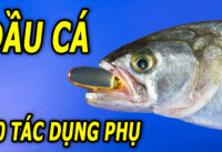 10-tac-dung-phu-it-biet-khi-uong-nhieu-dau-ca