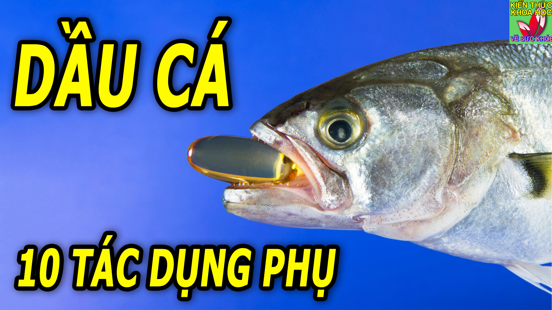 10-tac-dung-phu-it-biet-khi-uong-nhieu-dau-ca