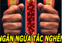 5-loai-hat-giup-ngan-ngua-tac-nghen-dong-mach-nho-nhac-nhau-an-thuong-xuyen