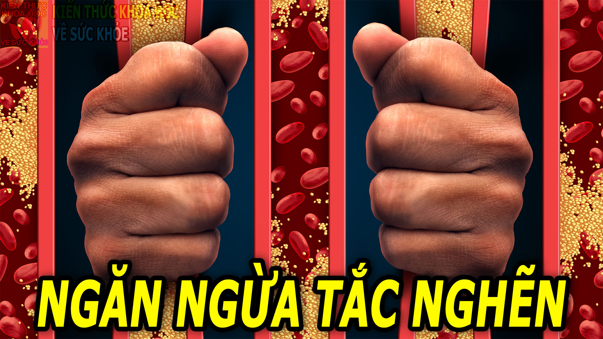 5-loai-hat-giup-ngan-ngua-tac-nghen-dong-mach-nho-nhac-nhau-an-thuong-xuyen