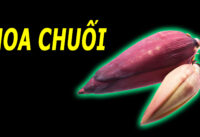 hoa-chuoi-co-tac-dung-gi