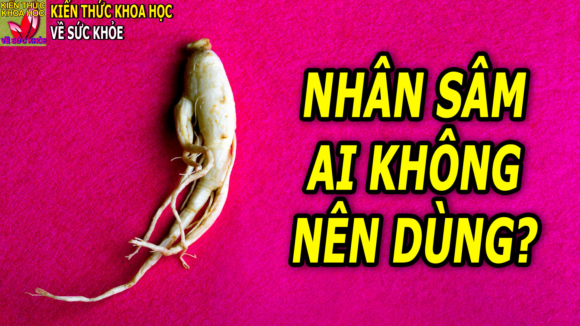 nhung-nguoi-khong-nen-dung-nhan-sam