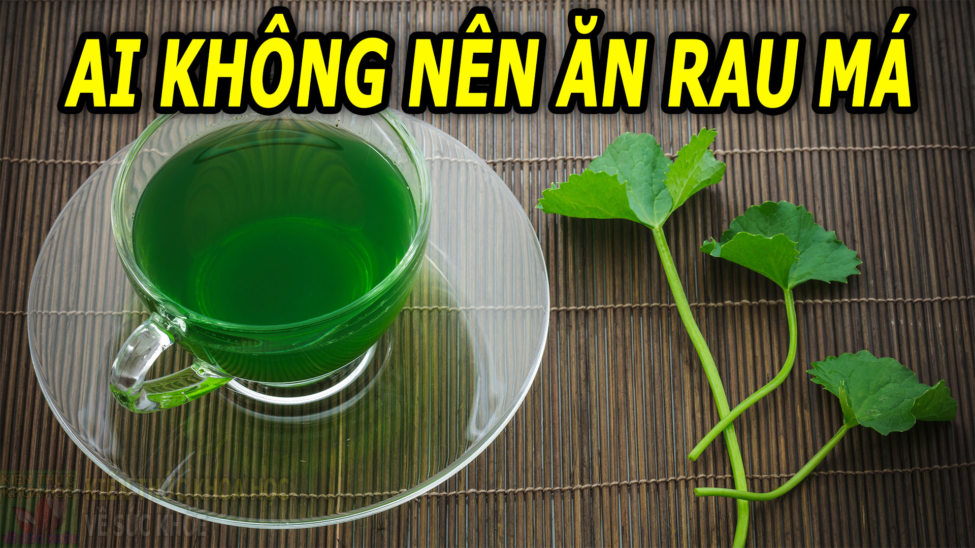 rau-ma-co-tac-dung-gi-ai-khong-nen-an-rau-ma