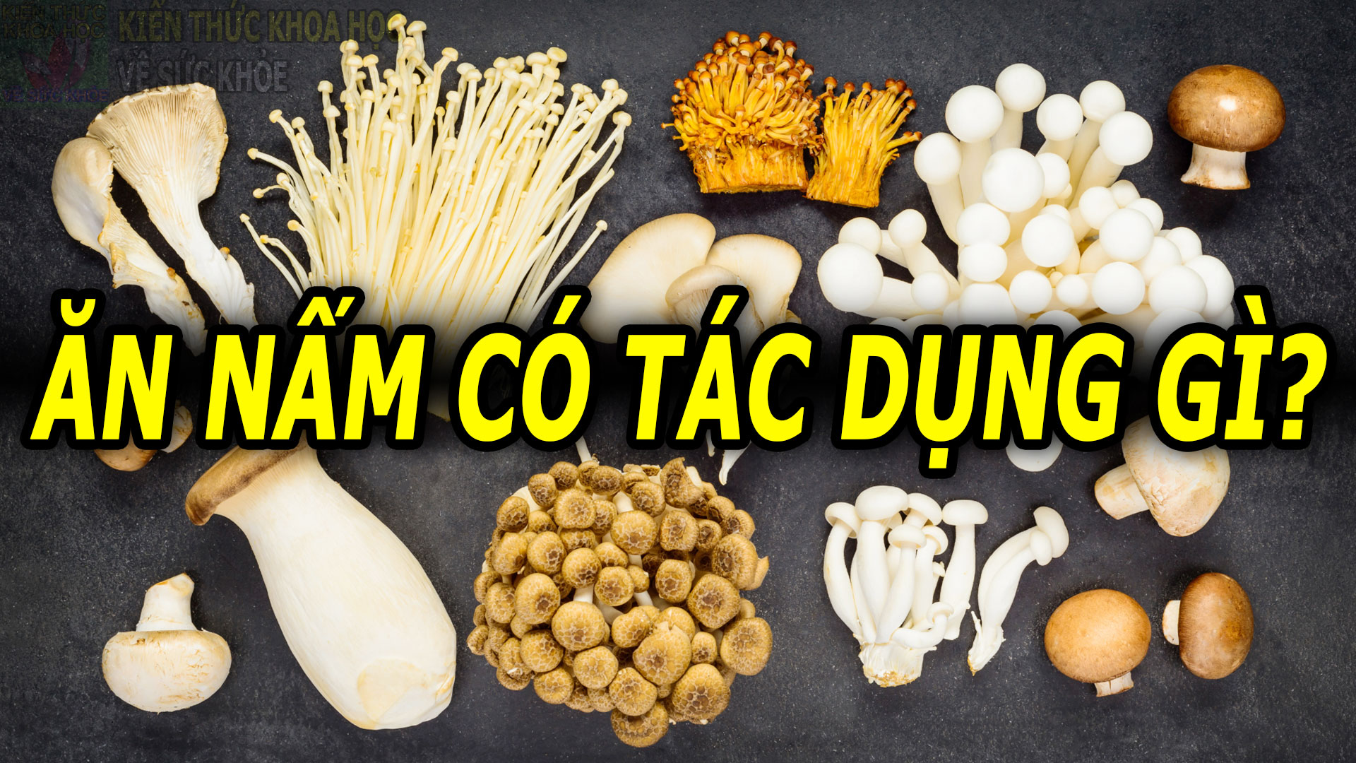 tac-dung-cua-viec-an-nam-thuong-xuyen