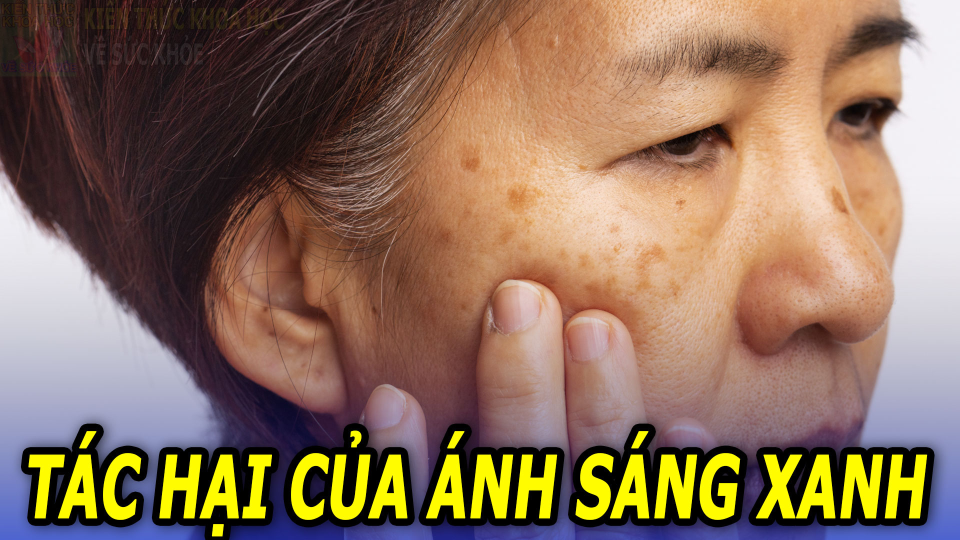 tac-hai-cua-anh-sang-xanh-doi-voi-lan-dan