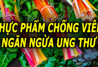 7-loai-thuc-pham-hang-dau-ho-tro-ngan-ngua-ung-thu