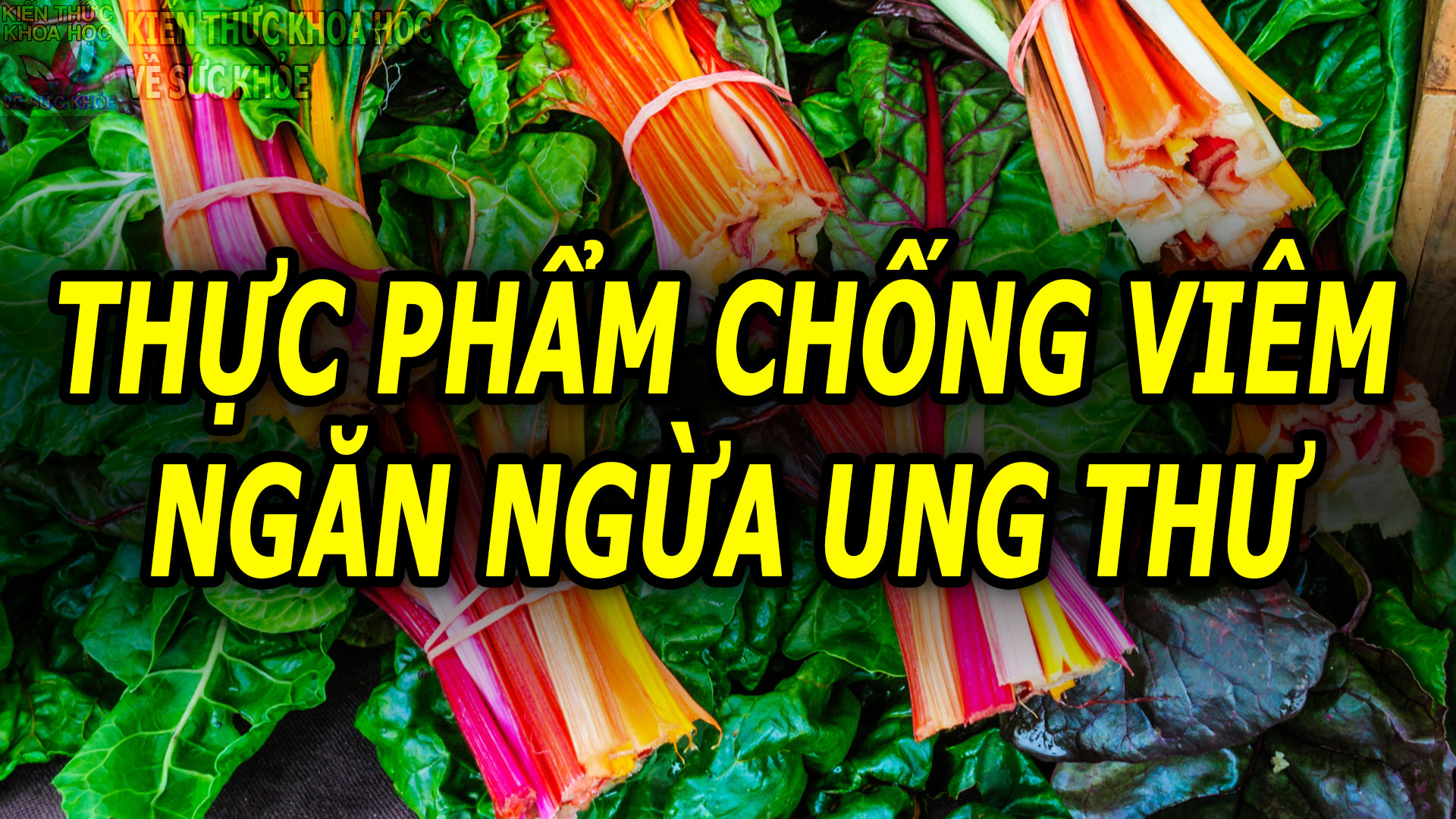 7-loai-thuc-pham-hang-dau-ho-tro-ngan-ngua-ung-thu