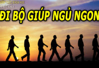 di-bo-co-giup-ngu-ngon-khong