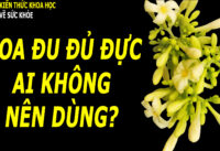 nhung-nguoi-khong-nen-uong-hoa-du-du-duc