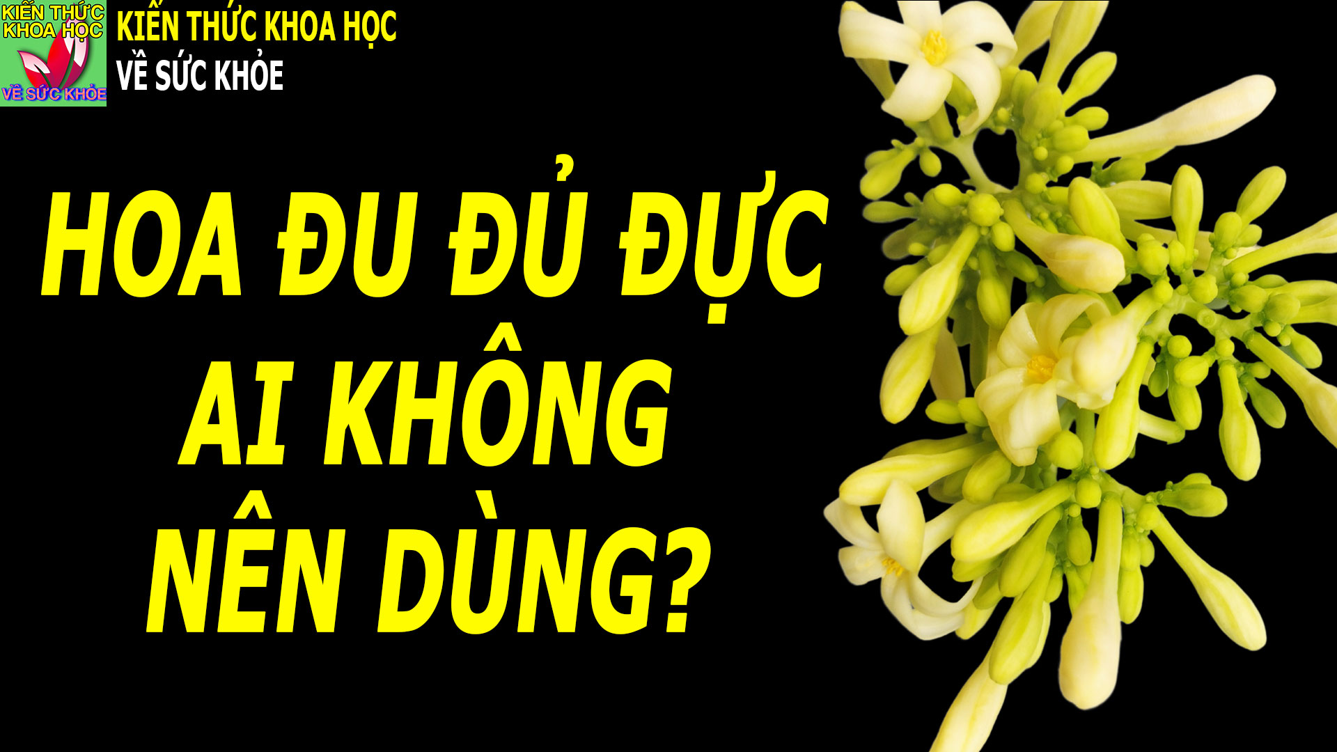 nhung-nguoi-khong-nen-uong-hoa-du-du-duc