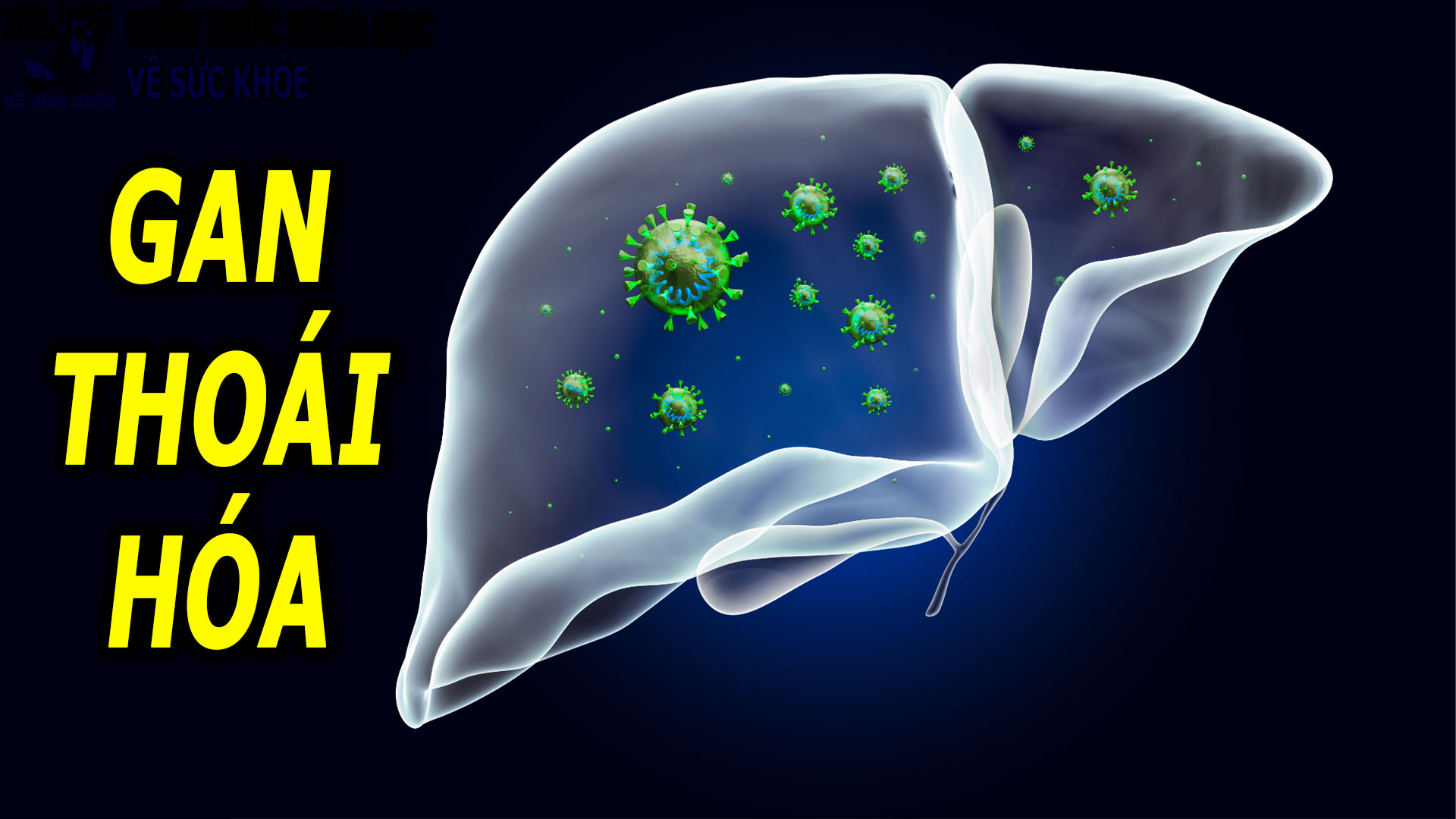 thoi-quen-nhieu-nguoi-mac-phai-khien-gan-bi-thoai-hoa