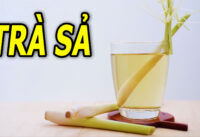 uong-tra-sa-moi-ngay-dieu-gi-se-xay-ra-voi-co-the