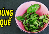 1-nam-rau-hung-que-5-loi-ich-suc-khoe