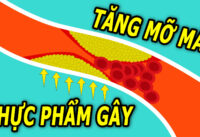 5-loai-thuc-pham-gay-tang-mo-mau