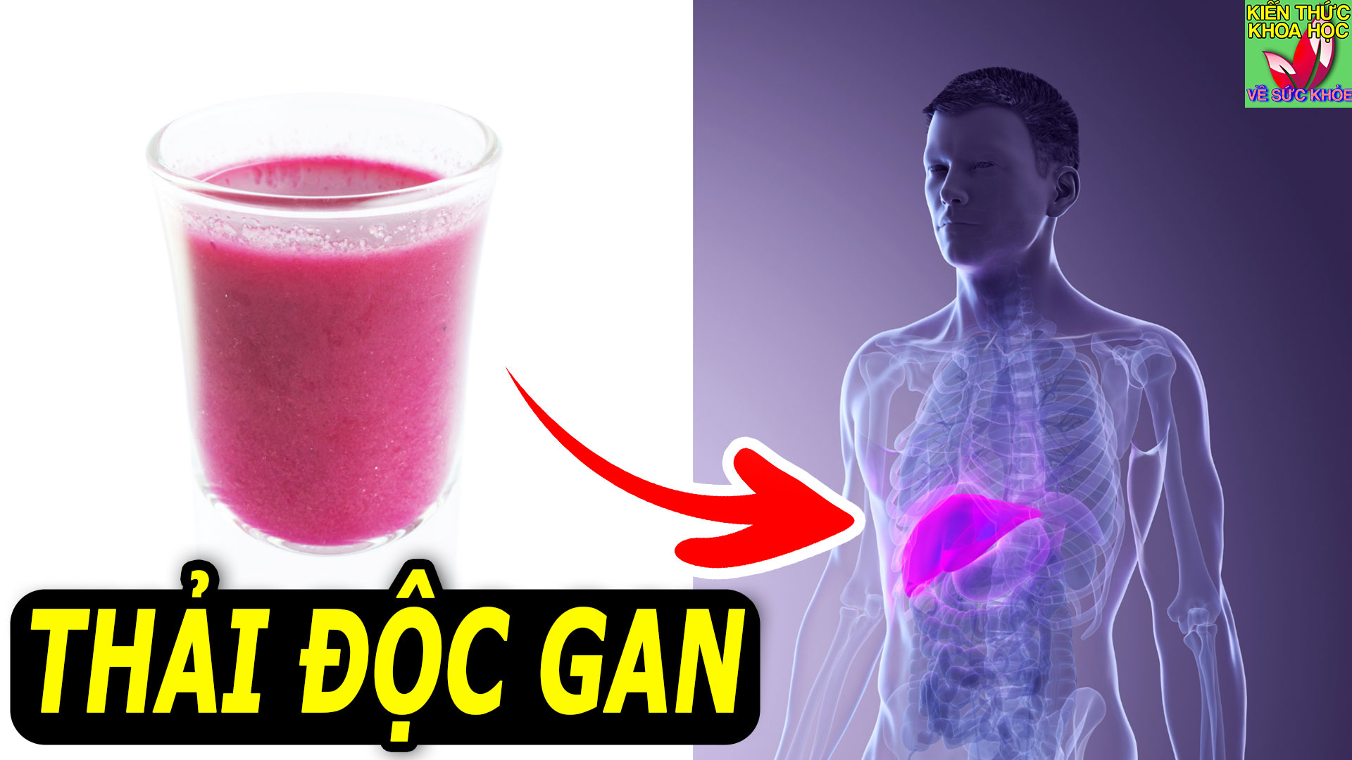 5-loai-thuc-uong-tot-cho-gan-ho-tro-thai-doc-gan-hieu-qua