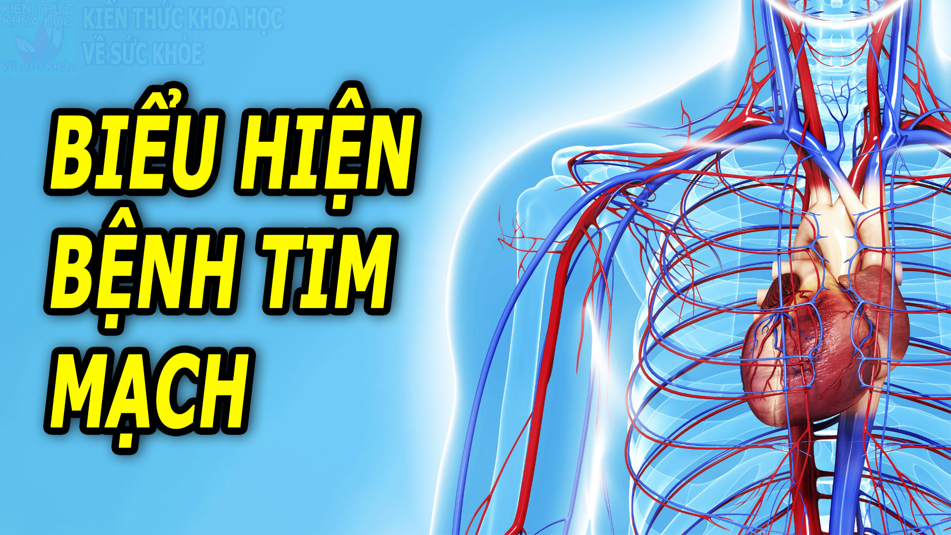 bieu-hien-cua-benh-tim-mach-giai-doan-dau
