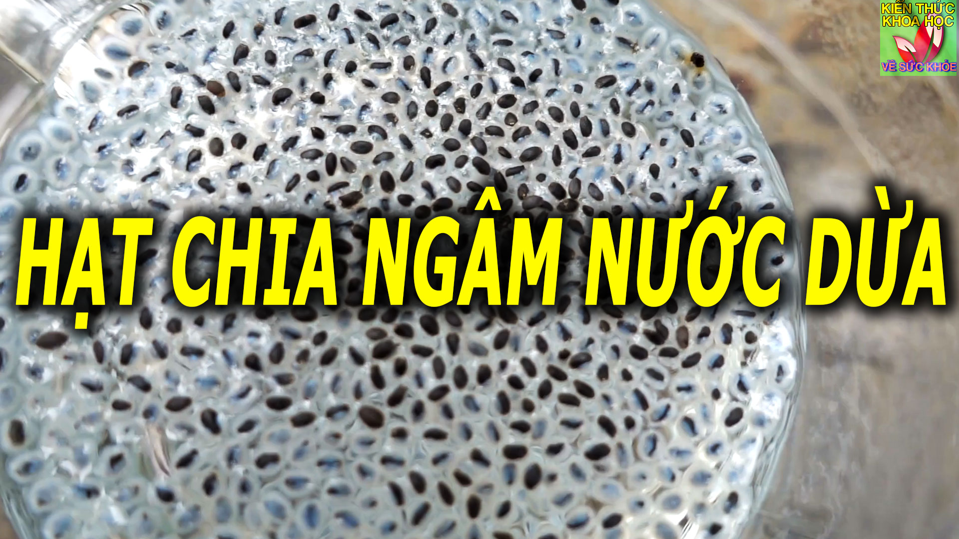 hat-chia-uong-voi-nuoc-dua-co-tac-dung-gi