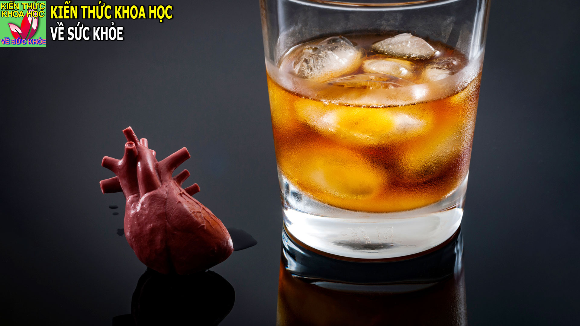 nguoi-benh-co-tim-nen-va-khong-nen-an-gi