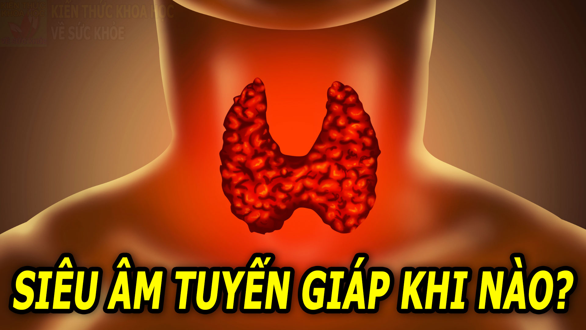 sieu-am-tuyen-giap-co-tac-dung-gi-khi-nao-can-sieu-am-tuyen-giap