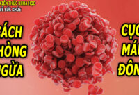 6-cach-giup-phong-ngua-cuc-mau-dong