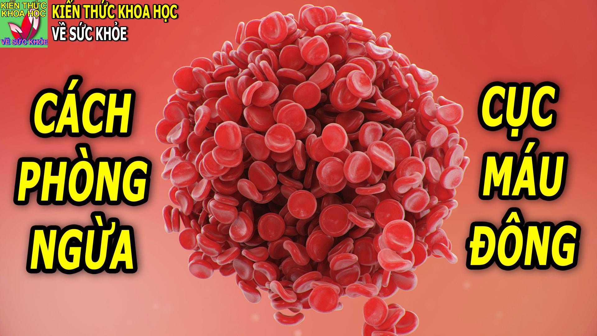 6-cach-giup-phong-ngua-cuc-mau-dong