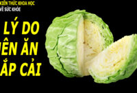 an-bap-cai-thuong-xuyen-tot-cho-suc-khoe-nhu-the-nao