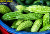 muop-dang-co-tac-dung-gi