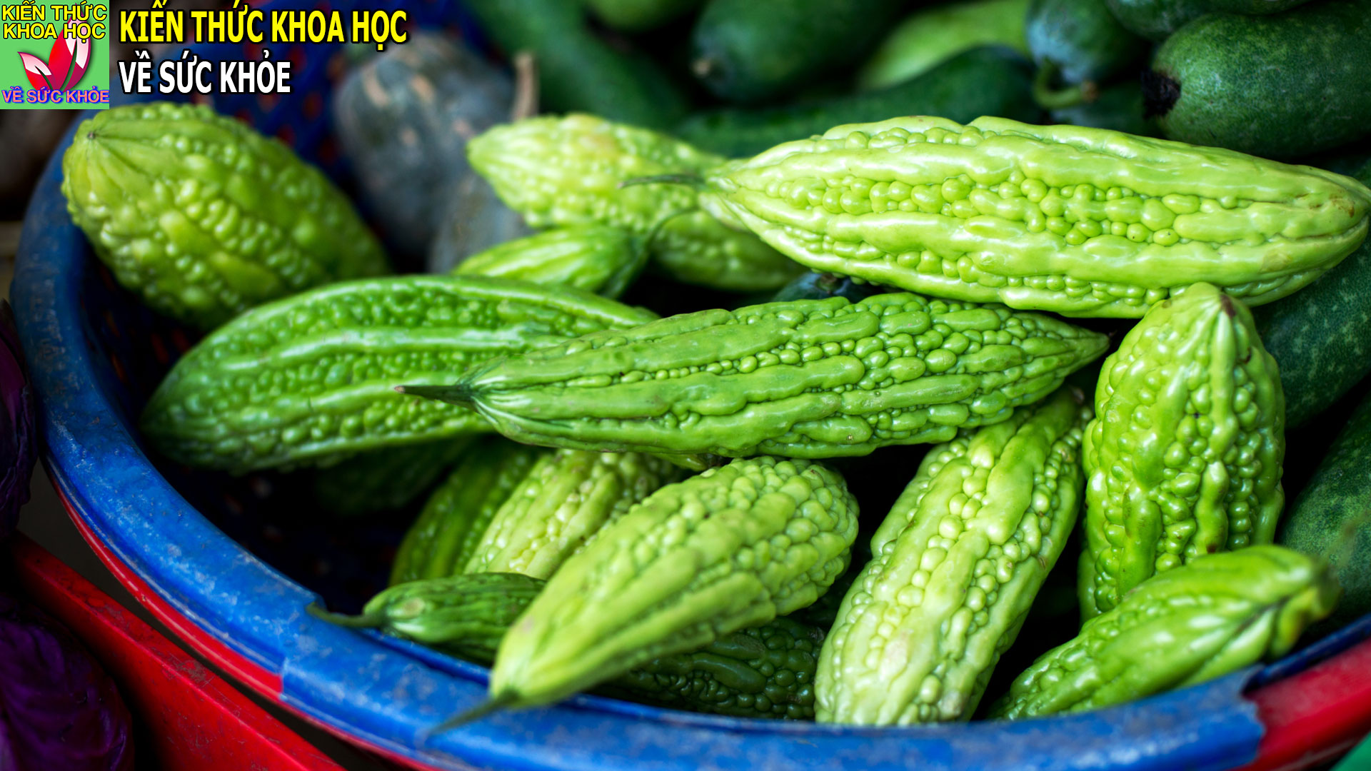 muop-dang-co-tac-dung-gi