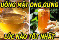 thoi-diem-uong-mat-ong-gung-tot-nhat-trong-ngay