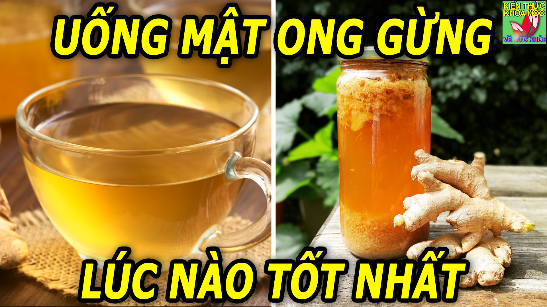 thoi-diem-uong-mat-ong-gung-tot-nhat-trong-ngay