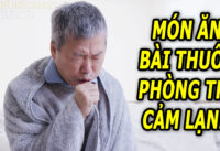 7-mon-an-bai-thuoc-phong-tri-cam-lanh