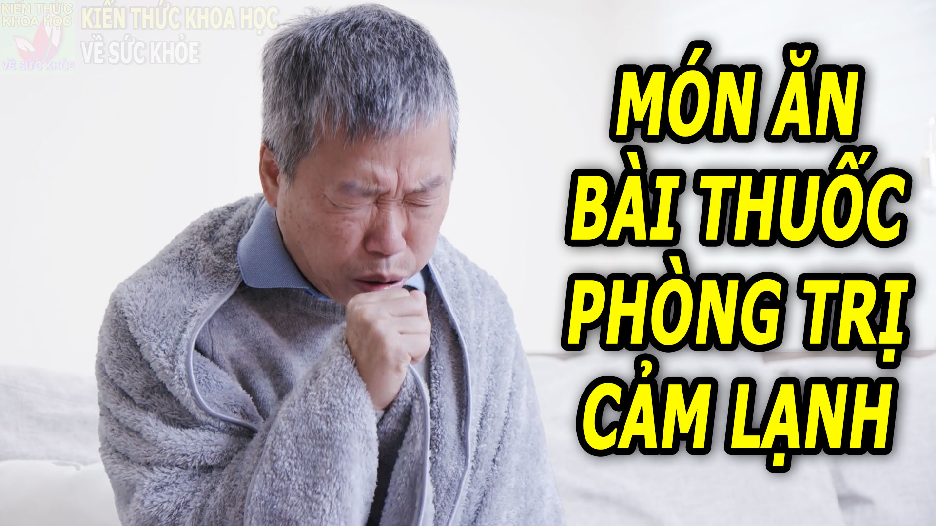 7-mon-an-bai-thuoc-phong-tri-cam-lanh