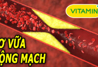 cac-vitamin-cai-thien-xo-vua-dong-mach