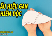 dau-hieu-gan-nhiem-doc