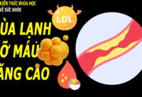 ly-do-mo-mau-tang-cao-khi-thoi-tiet-lanh