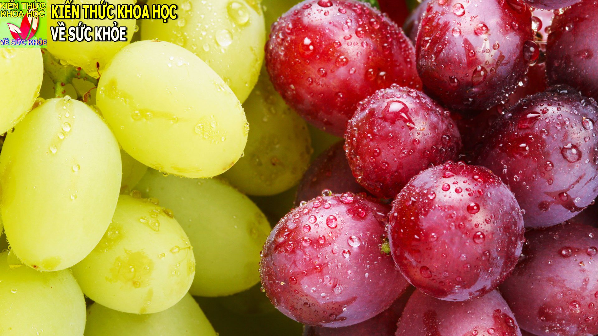 nho-xanh-va-nho-do-nho-nao-tot-hon