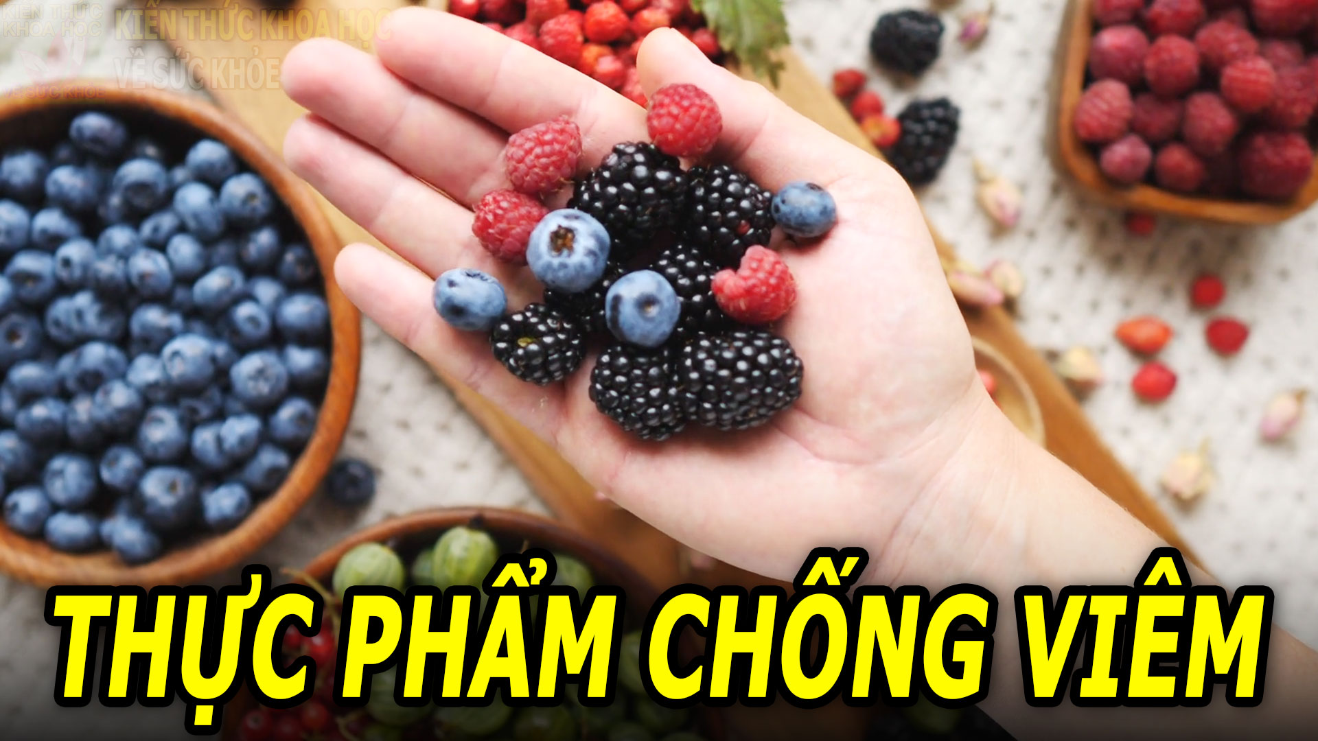 thuc-pham-chong-viem-giup-phong-ngua-benh-tat